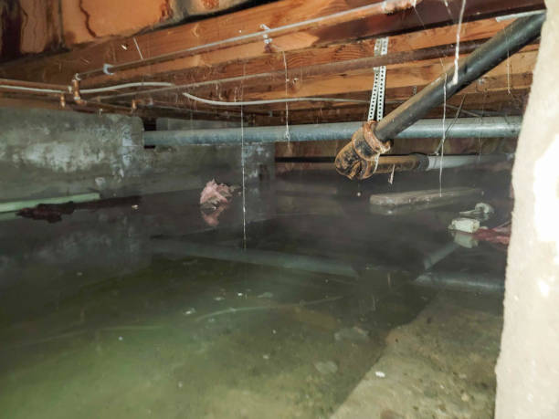 Best Water damage restoration near me  in Mount Gilead, NC