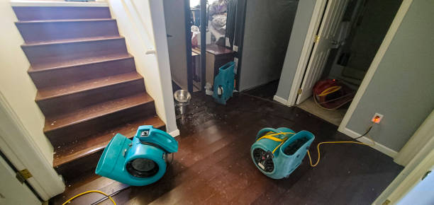 Best 24/7 water damage repair  in Mount Gilead, NC