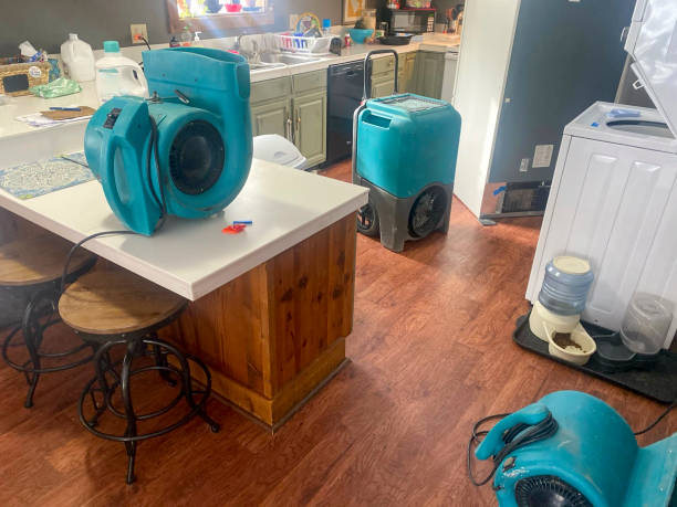 Best Water damage cleanup near me  in Mount Gilead, NC