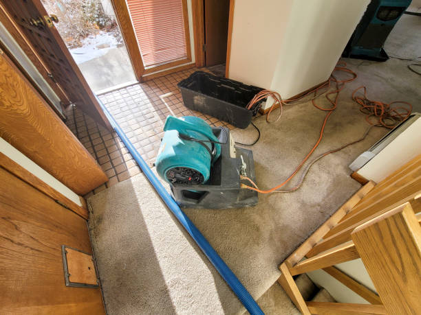 Best 24/7 water damage repair  in Mount Gilead, NC