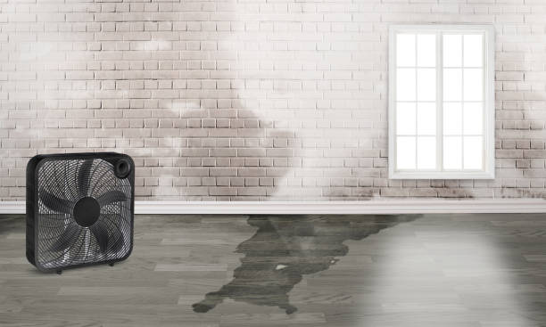 Best Water damage restoration insurance claims  in Mount Gilead, NC