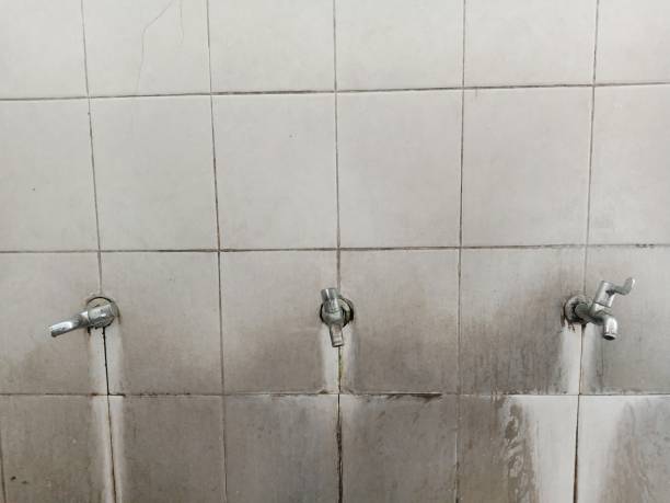 Best Water damage repair service  in Mount Gilead, NC
