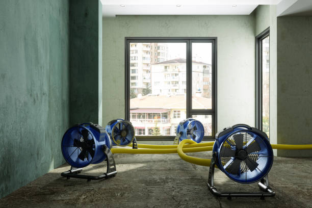 Best Mold removal after water damage  in Mount Gilead, NC