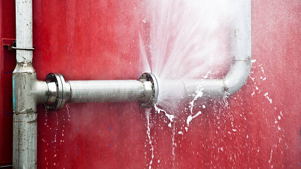 Best Water damage restoration mold remediation  in Mount Gilead, NC